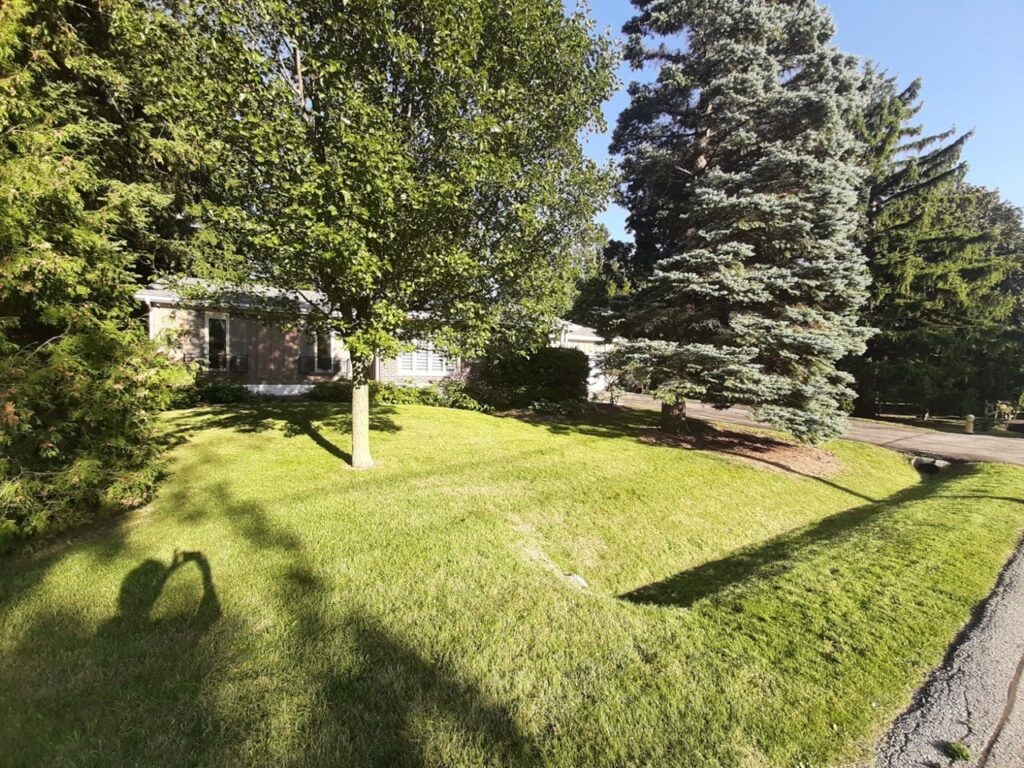 17 Ovida Blvd Markham 2024-02-25 11.01.45